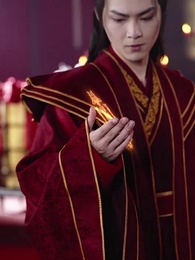 第67集 - 聖女請自重,大叔我呀只想成親