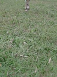 我的七個師姐又美又颯 - Episode 33