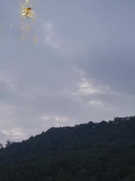 聖女請自重，大叔我呀只想成親 - Episode 4