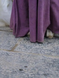 49화 - [더빙 버전]천상보다 아름다운 인간계