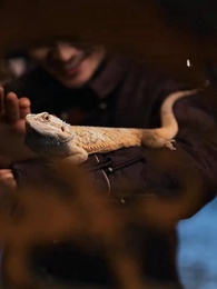 Legenda KungFu Kembar - Episode 5