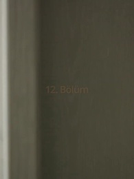 Yasak Aşk Sevgiye Dönüşünce - Episode 12