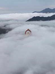 聖女請自重，大叔我呀只想成親 - Episode 1