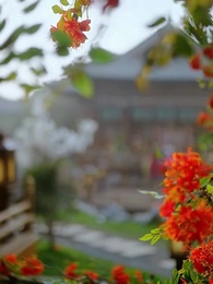 第50話 - 将軍邸での対決 古代人VS.現代人