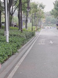 第27集 - 聖醫狂婿