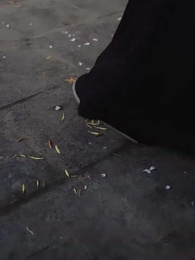 Saat Semua Bisa Dengar Hatiku - Episode 46