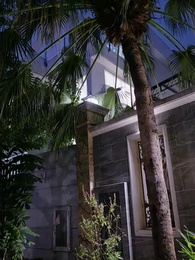 Super Papa, j'ai trouvé mon Maman PDG ! - Episode 25