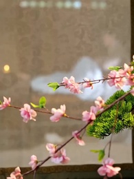 Mi Doble Vida como Emperador - Episode 58