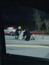 Épisode 23 - Adieu aux Reflets Perdus