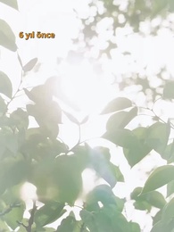 Bölüm 26 - Aşk İksiri: Beklenmedik Evlilik