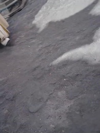 第53集 - 鬥戰聖體