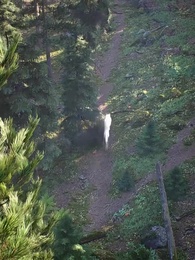 Legami di Luna e Sangue - Episode 1