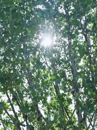 第1集 - 隱婚是假,千金是真