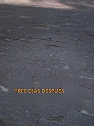 Episodio 28 - Papá, encontré a mi mamá CEO