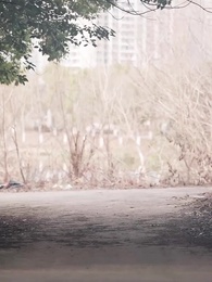 41화 - 해바라기 사랑