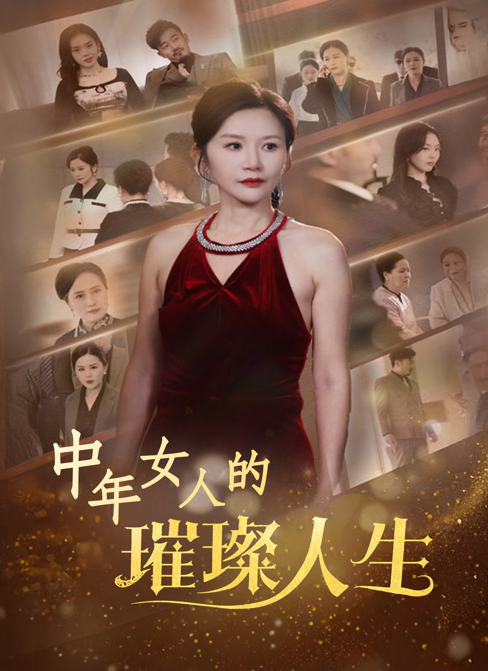 《中年女人的璀璨人生》封面