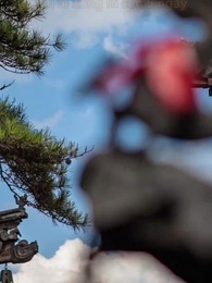 Quỳ dưới trăng trên phố mười dặm - Episode 6