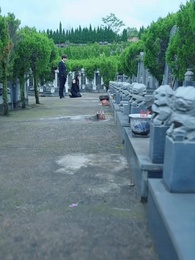 第75集 - 傅少的私寵罪妻