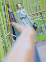 第36集 - 都市之最強仙醫