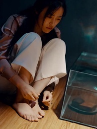 離婚後，沈總他後悔了 - Episode 47