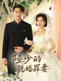 陸少的隱婚罪妻