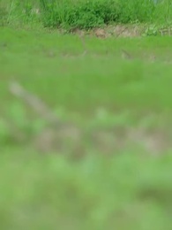 化作春泥更護花 - Episode 3