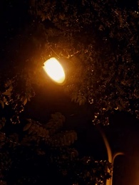 第99集 - 離婚後,沈總他後悔了