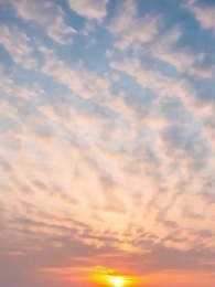 都市之全能高手 - Episode 43