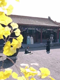 Episode 48 - Nine Princes: The Rise of an Unlikely Emperor