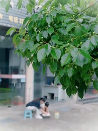 Little Angel, Big Redemption - Episode 57