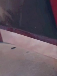 第98集 - 顧總別虐好好寵