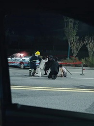 Bölüm 23 - Solan Güzellik