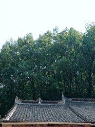 謙謙君子 - Episode 34