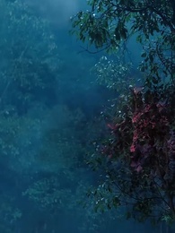 7화 - 다크로드