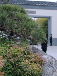 第51集 - 謙謙君子