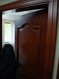 第55集 - 傅少的私寵罪妻