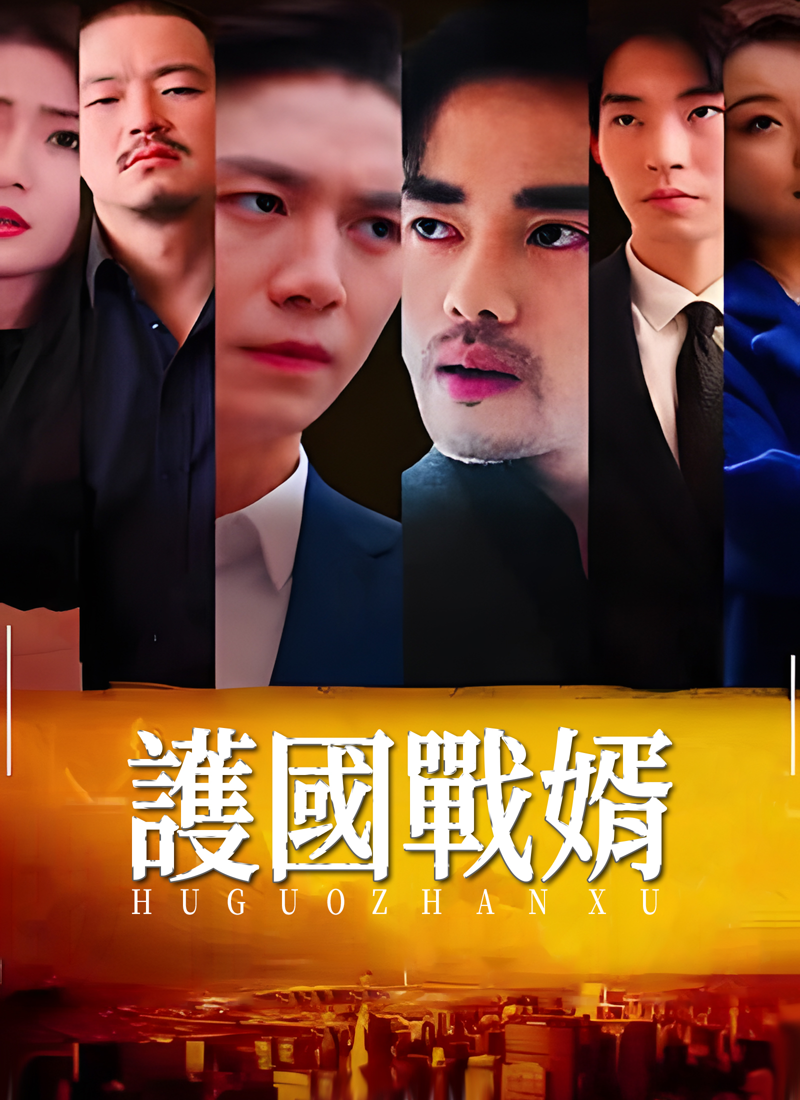 《護國戰婿》封面