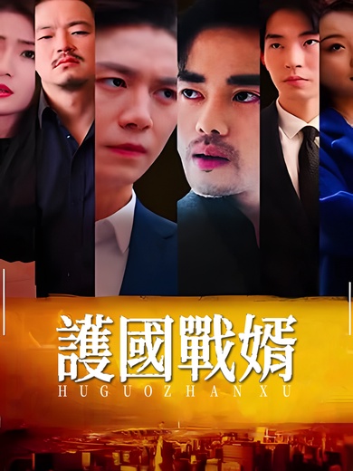 護國戰婿