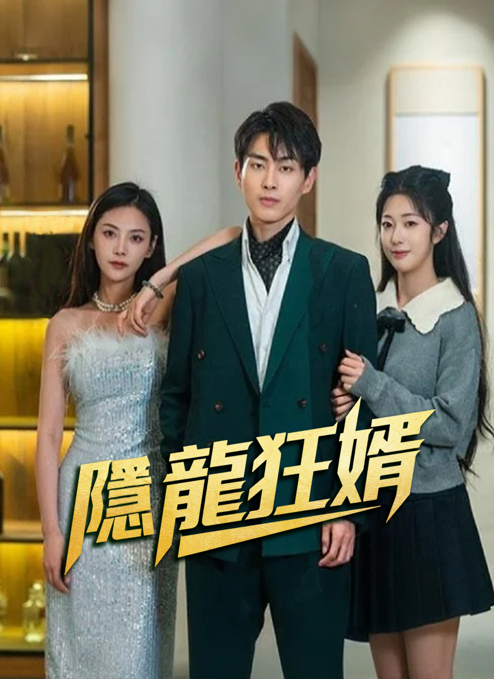 《隱龍狂婿》封面