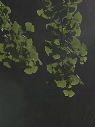 季總別虐了，我未婚夫來接我了 - Episode 9