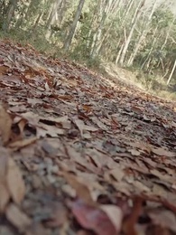 Episode 60 - Die Kaiserinmutter aus dem Volk