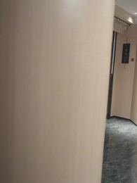 第67集 - 陸少的隱婚罪妻