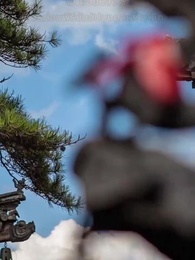 คุกเข่าใต้จันทรา ณ ถนนสิบลี้ - Episode 6