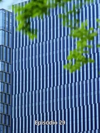 Episódio 29 - [Dublado]Renascendo das Cinzas