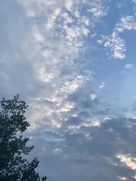 第31集 - 重啟：掘金人生