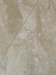 Tập 24 - Thiếu nữ thay đổi số phận