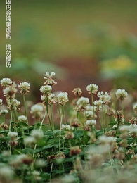 第2集 - 修羅帝尊