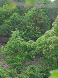 第94集 - 聖醫潛龍