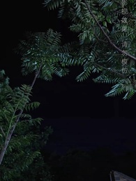 第24集 - 重啟：掘金人生