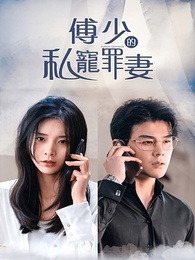 傅少的私寵罪妻